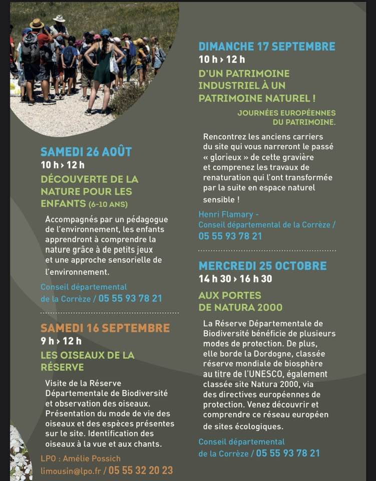 Arrière-plan