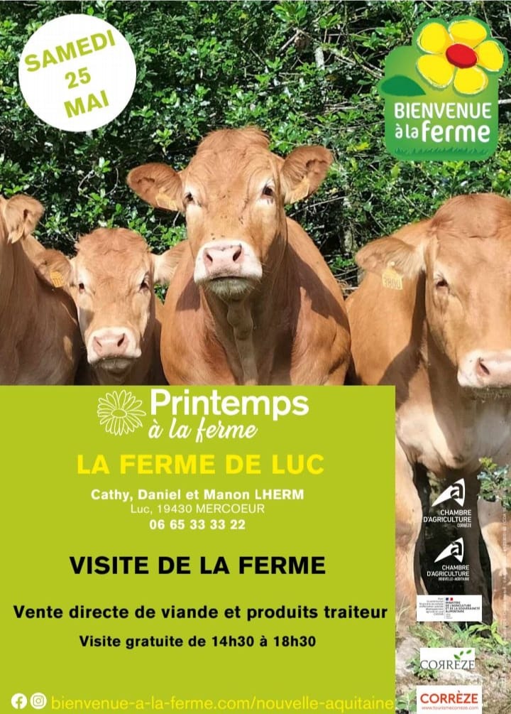 Arrière-plan